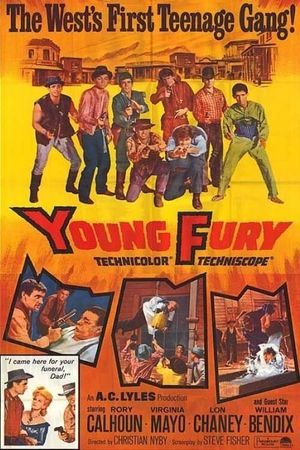 Young Fury's poster