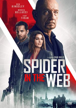Spider in the Web's poster