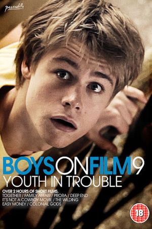 Boys on Film 9: Youth in Trouble's poster