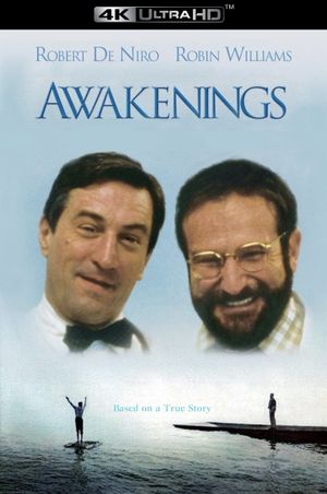Awakenings's poster