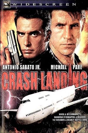 Crash Landing's poster