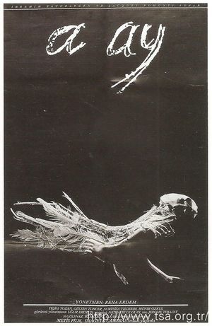 A Ay's poster