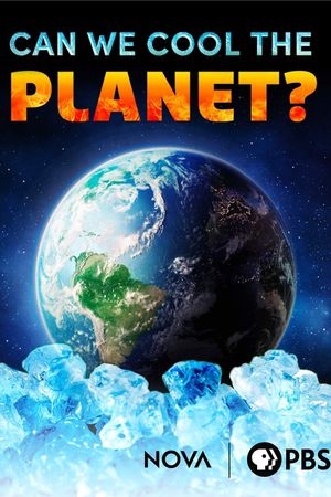 Can We Cool the Planet?'s poster