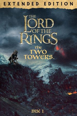 The Lord of the Rings: The Two Towers's poster