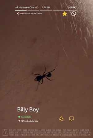 Billy Boy's poster