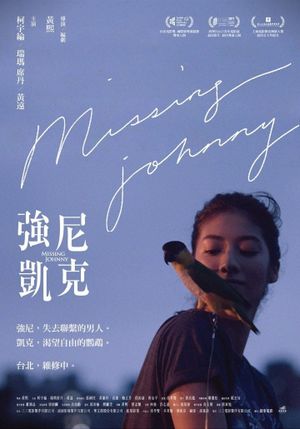 Missing Johnny's poster