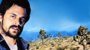 Grand Theft Parsons's poster