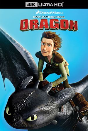 How to Train Your Dragon's poster