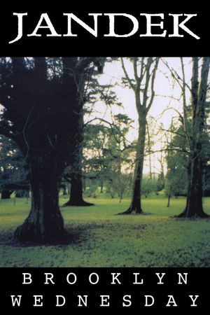 Jandek: Brooklyn Wednesday's poster