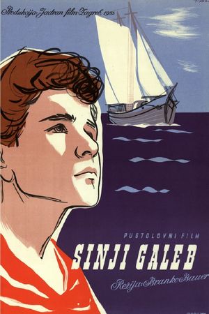 Sinji galeb's poster