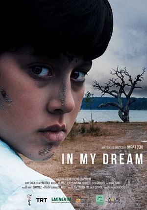 In My Dream's poster image