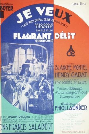 Flagrant délit's poster
