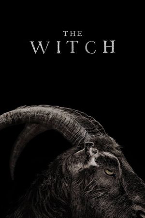 The Witch's poster
