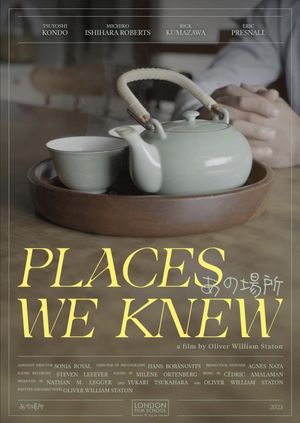 Places We Knew's poster