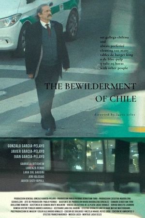 The bewilderment of chile's poster