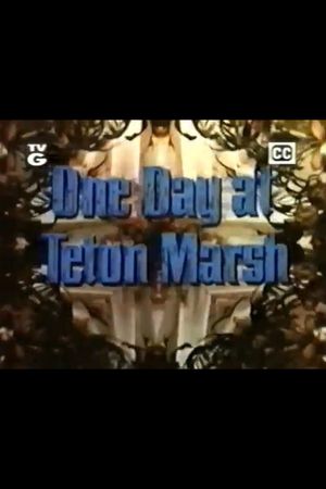 One Day at Teton Marsh's poster