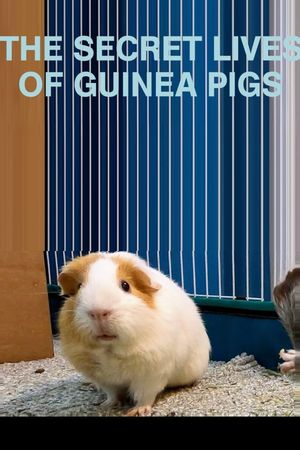 The Secret Lives of Guinea Pigs's poster