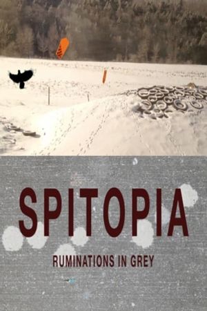 Landscapes's poster