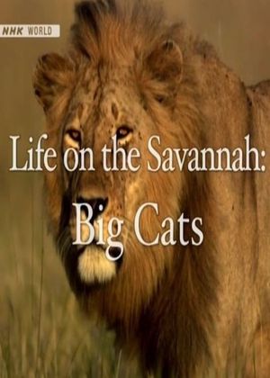 Life on the Savannah: Big Cats's poster