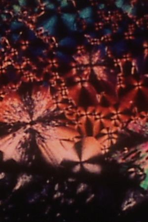 Liquid Crystals's poster