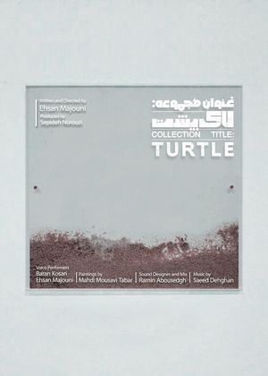 Collection Title: Turtle's poster image