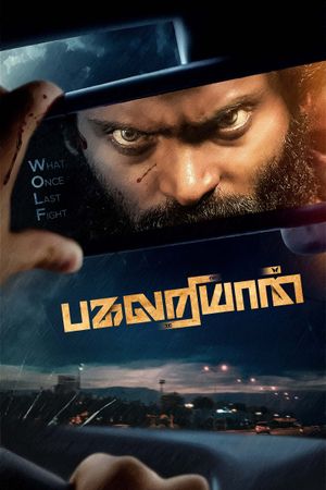 Pagalariyaan's poster