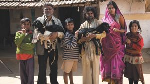 Peepli [Live]'s poster