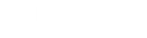 Angel Has Fallen's poster