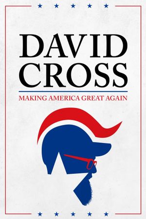 David Cross: Making America Great Again's poster image