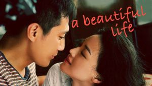 A Beautiful Life's poster