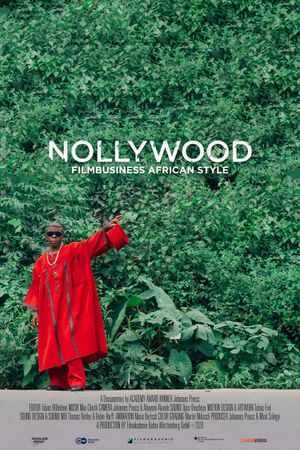 Nollywood - Filmbusiness African Style's poster