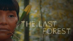 The Last Forest's poster