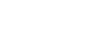 The Long Way Home's poster