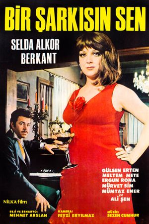 Bir sarkisin sen's poster