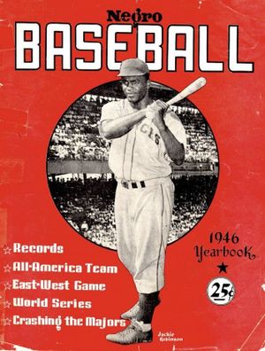 Negro Leagues Baseball's poster