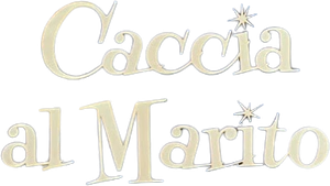 Caccia al marito's poster