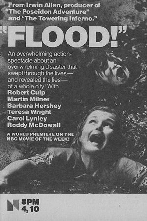 Flood!'s poster