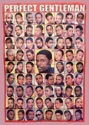 Searching for the Perfect Gentleman's poster