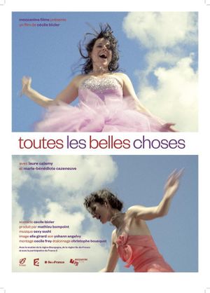 Toutes les belles choses's poster