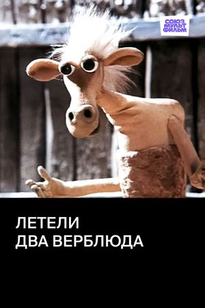 Two Camels Were Flying's poster
