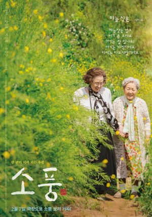 Picnic's poster