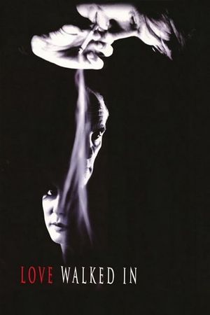 Love Walked In's poster