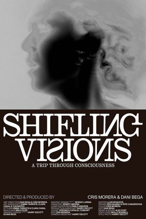 SHIFTING VISIONS's poster