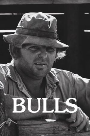Bulls's poster