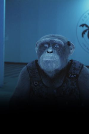 C.I.Ape's poster