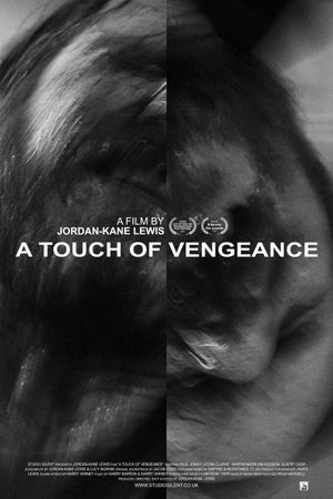 A Touch of Vengeance's poster