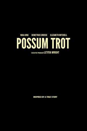Sound of Hope: The Story of Possum Trot's poster