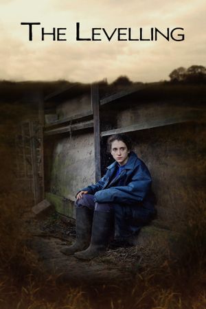 The Levelling's poster