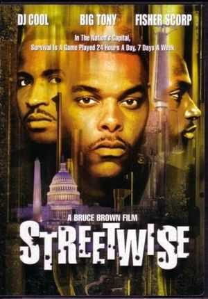 Streetwise's poster
