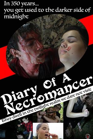 Diary of a Necromancer's poster